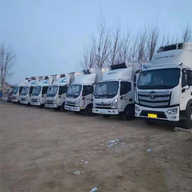 濮阳县若羌县进仓物流：专线直达的多元货运风采